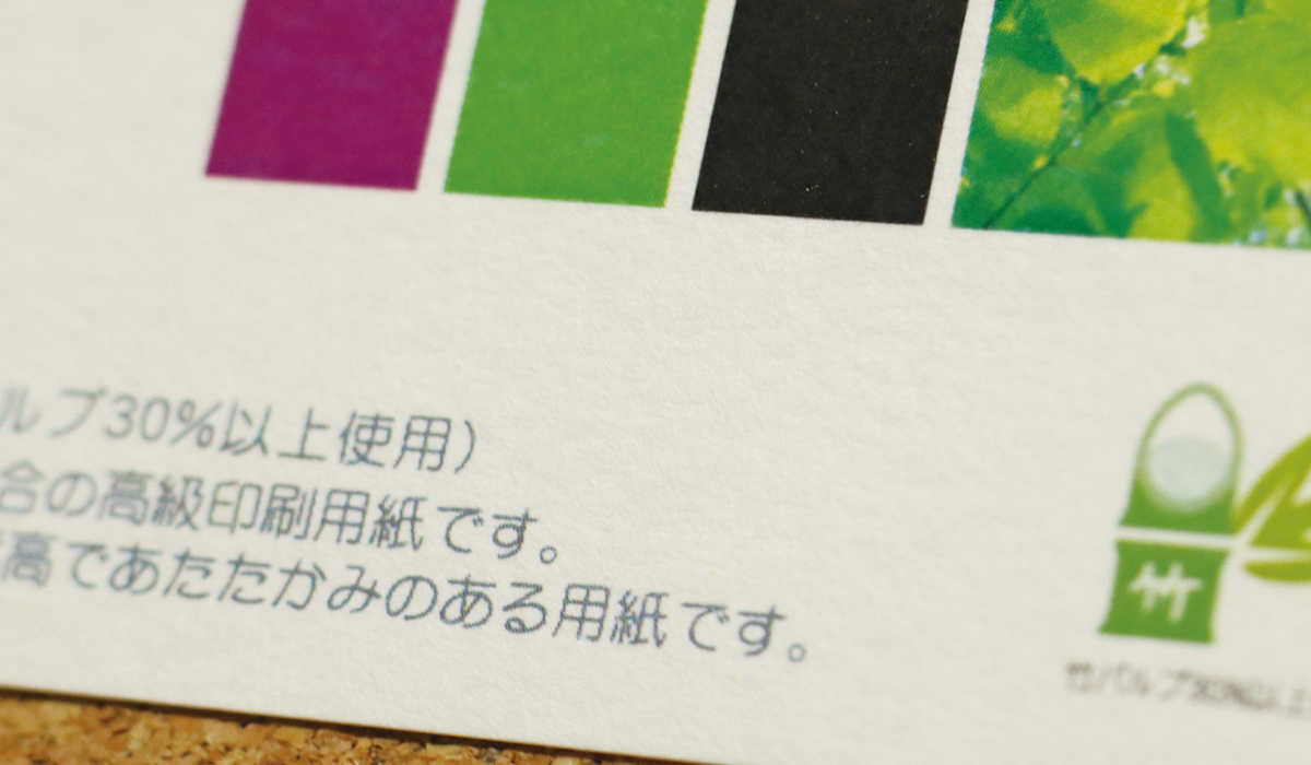 竹はだGA 256g 平米 全紙サイズ(1091×788mm)：100枚 送料実費 印刷紙 印刷用紙 松本洋紙店 - 4